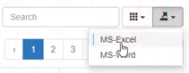 MS Excel format